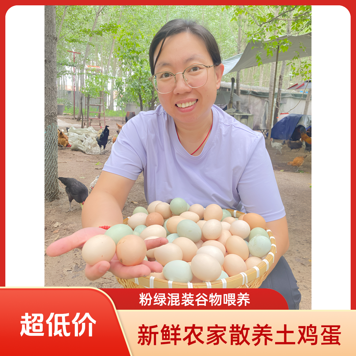 农家散养新鲜土鸡蛋山林纯五谷喂养适合孕妇月子食用绿壳