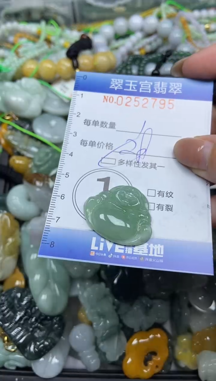 颈饰未镶嵌翡翠闪购C0252795多样性发其一