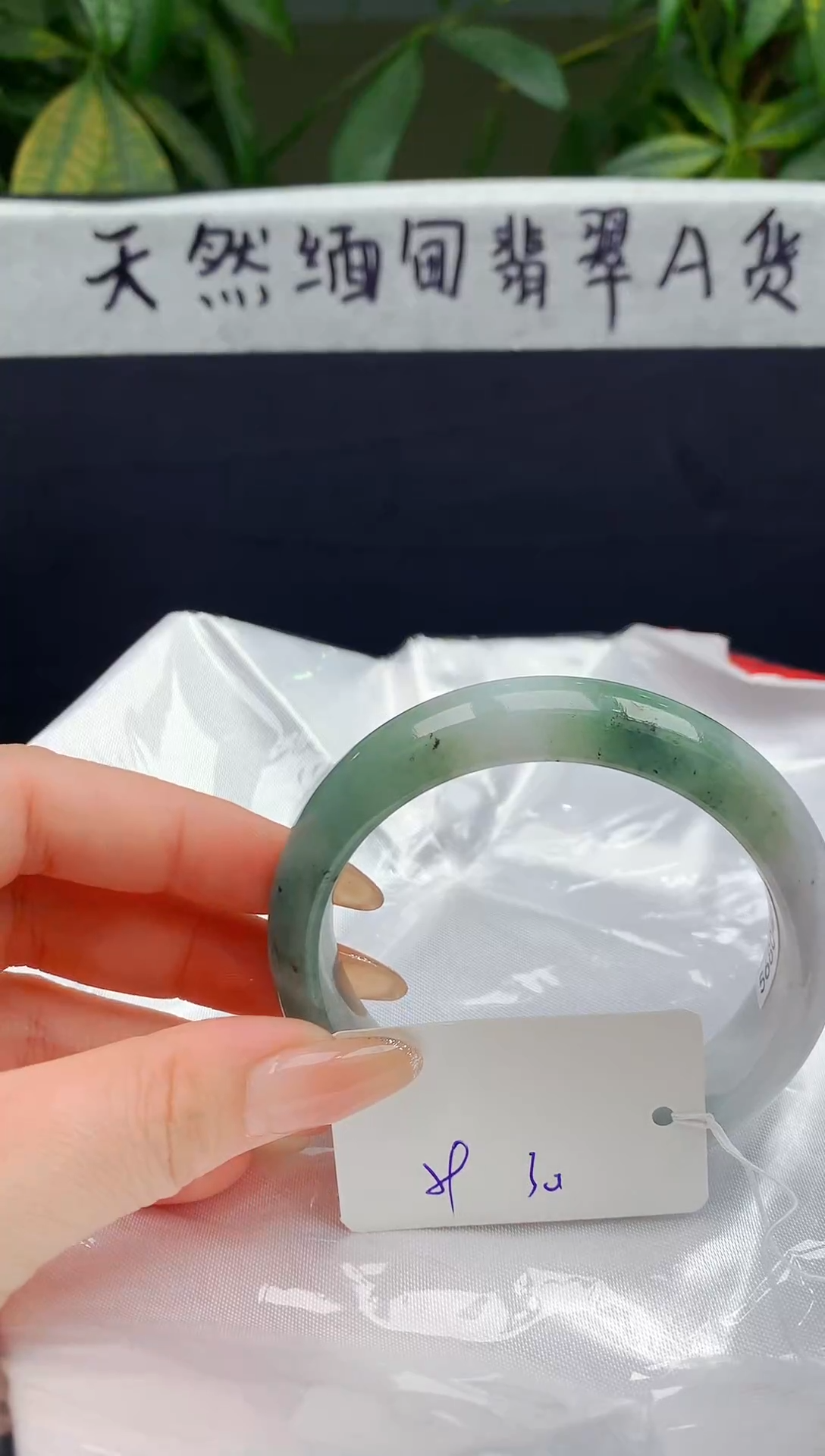 未镶嵌手镯翡翠173