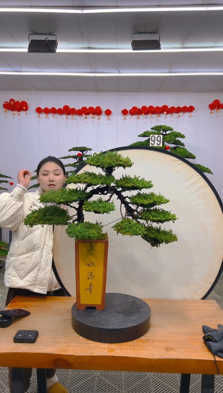 【闪购商品】盆景1