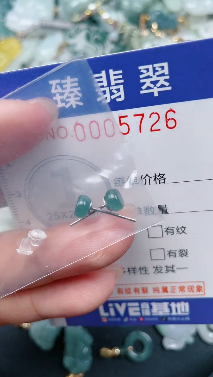 颈饰未镶嵌翡翠.0005726