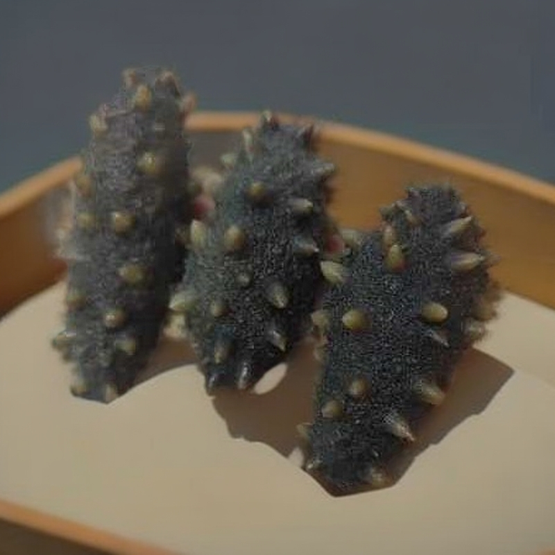 大连长海县深水野生半干海参(特价款)