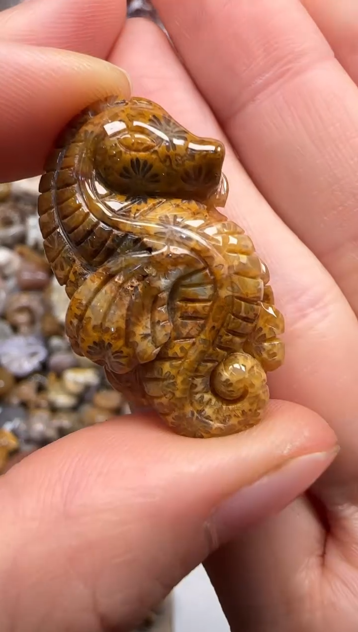 【闪购商品】硅化珊瑚（珊瑚玉）颈饰未镶嵌088