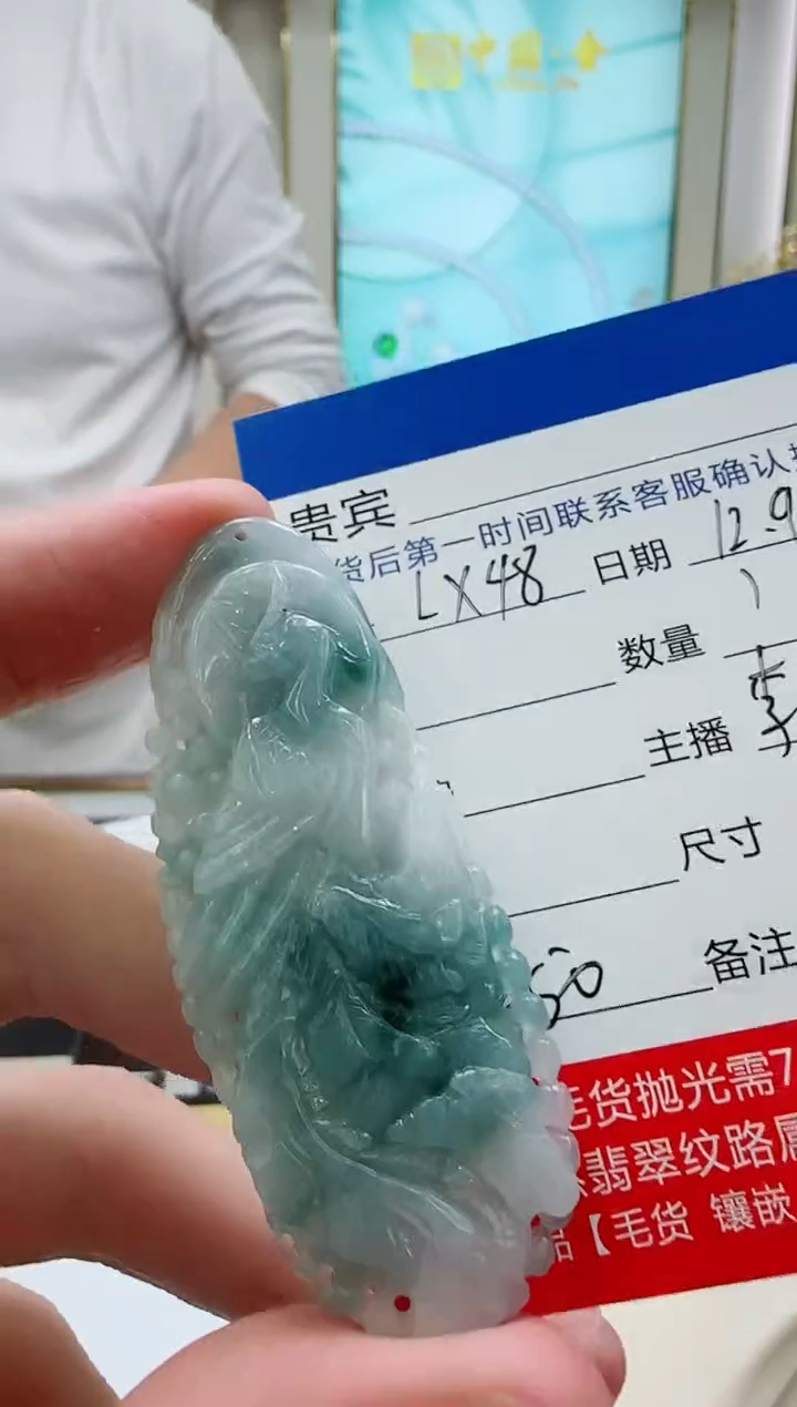 未镶嵌定制翡翠LX48翡翠吊坠-多样性发其一