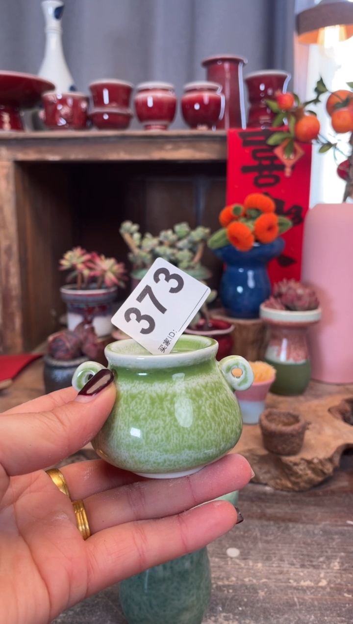 【闪购商品】摆件373知木小芳花盆