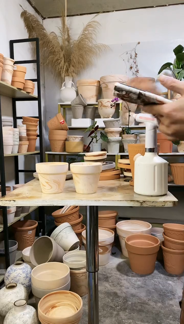 12*11玛奇朵 2盆无托