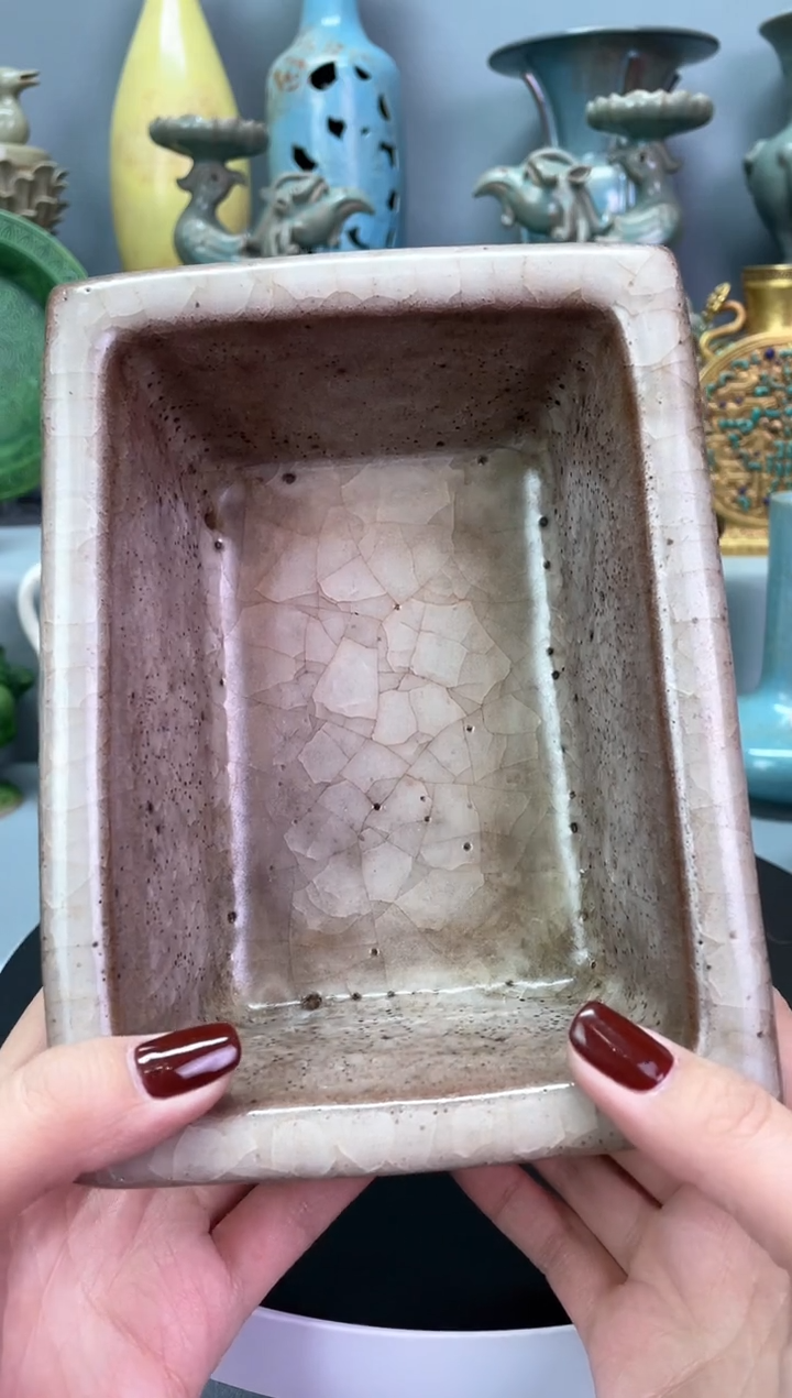 【闪购商品】缸瓷1111111111111