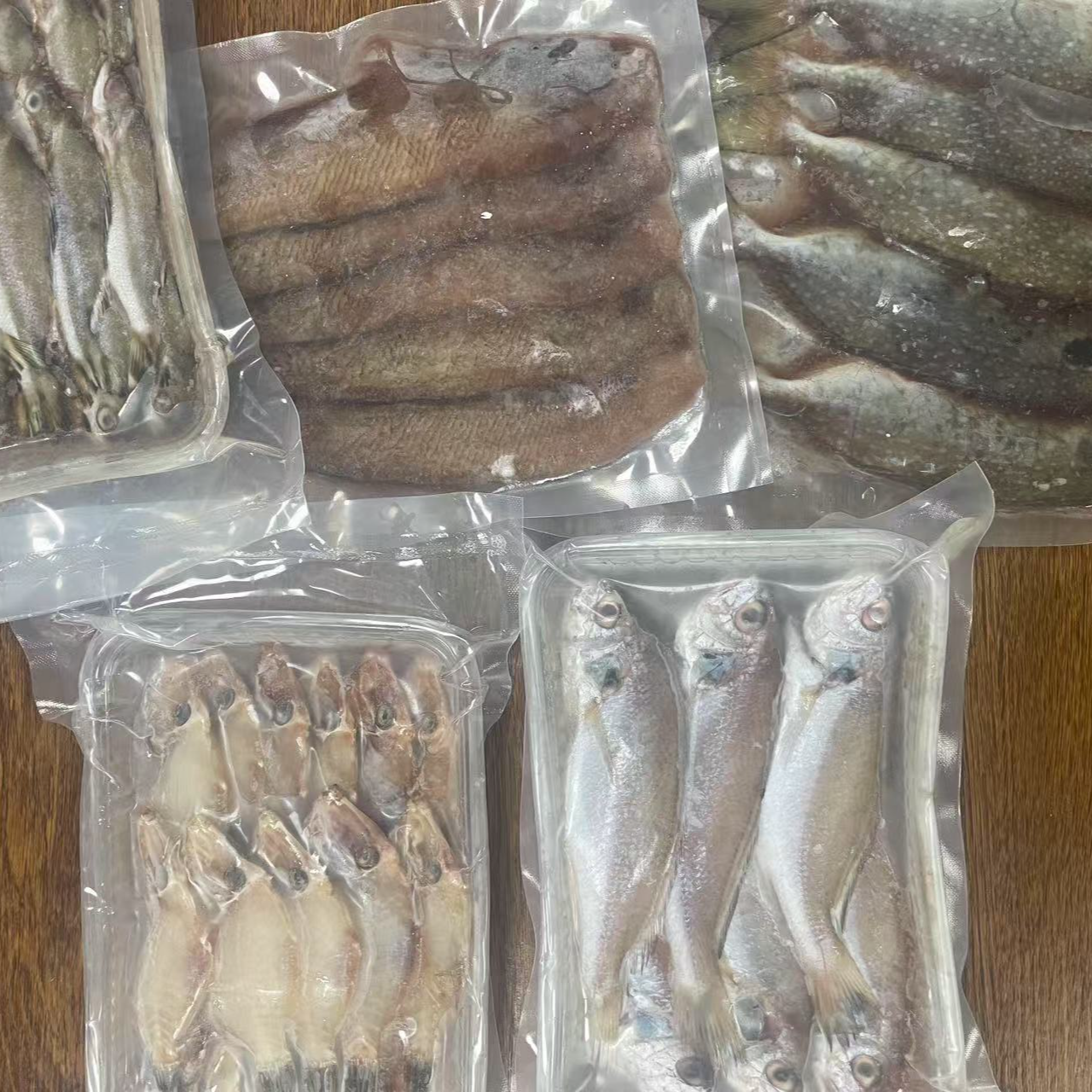 浅海鱼类组合套餐137