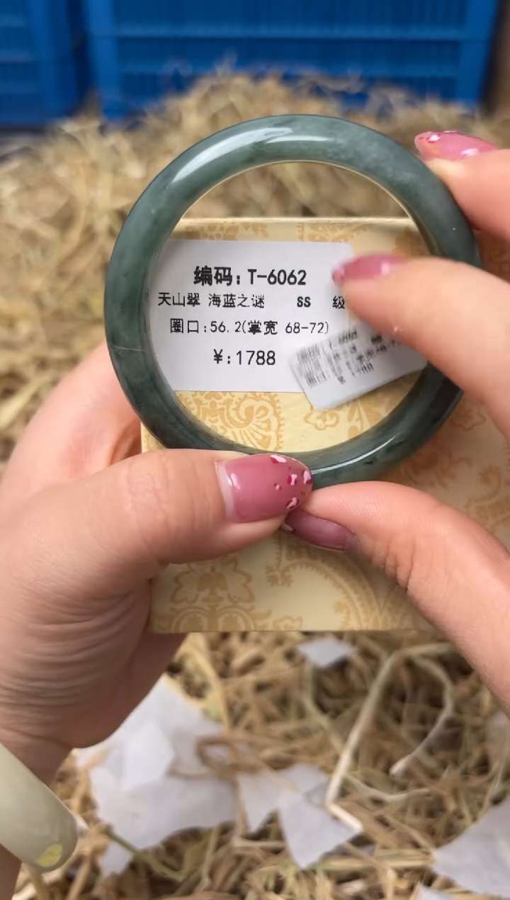 未镶嵌手镯石英质玉T-6062