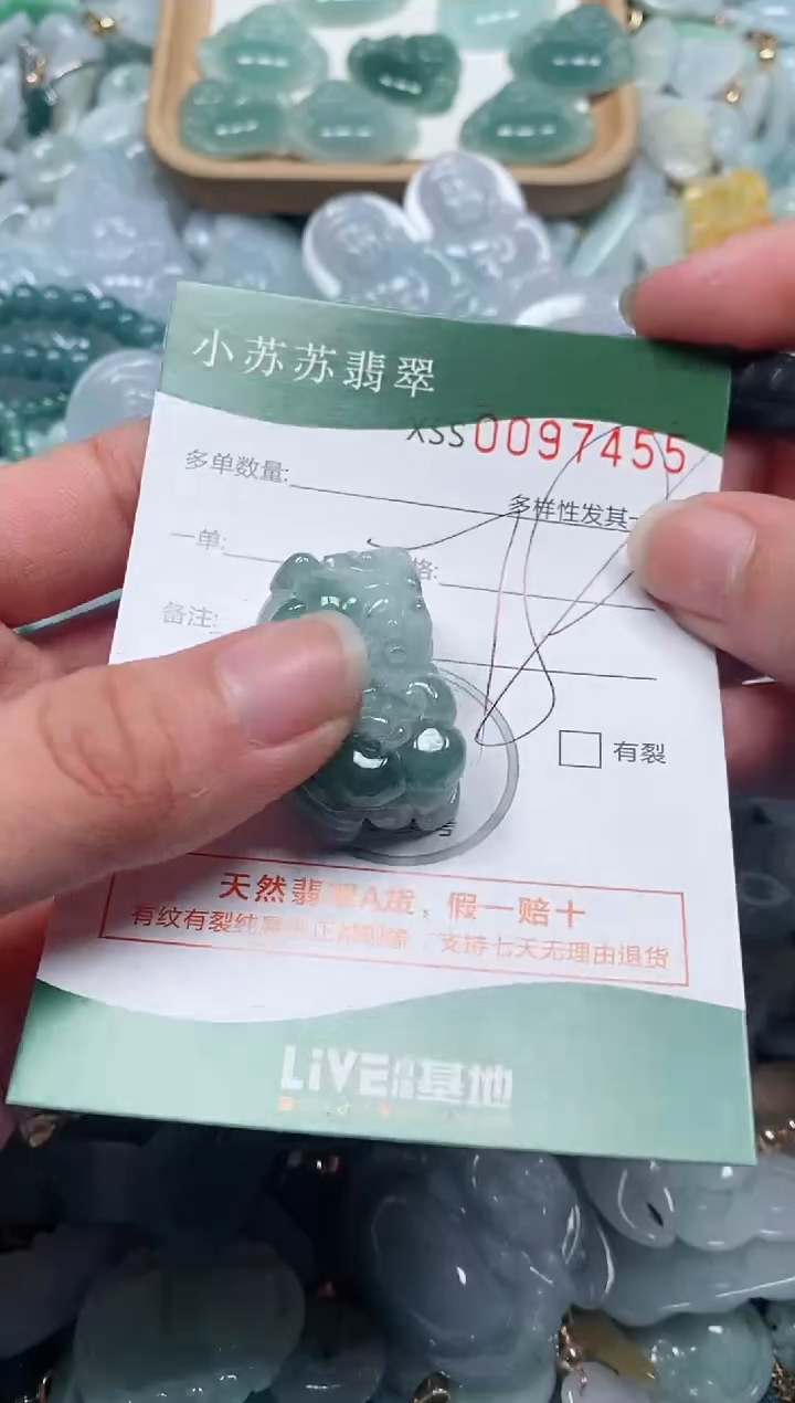 【闪购商品】翡翠颈饰未镶嵌闪购商品0097455