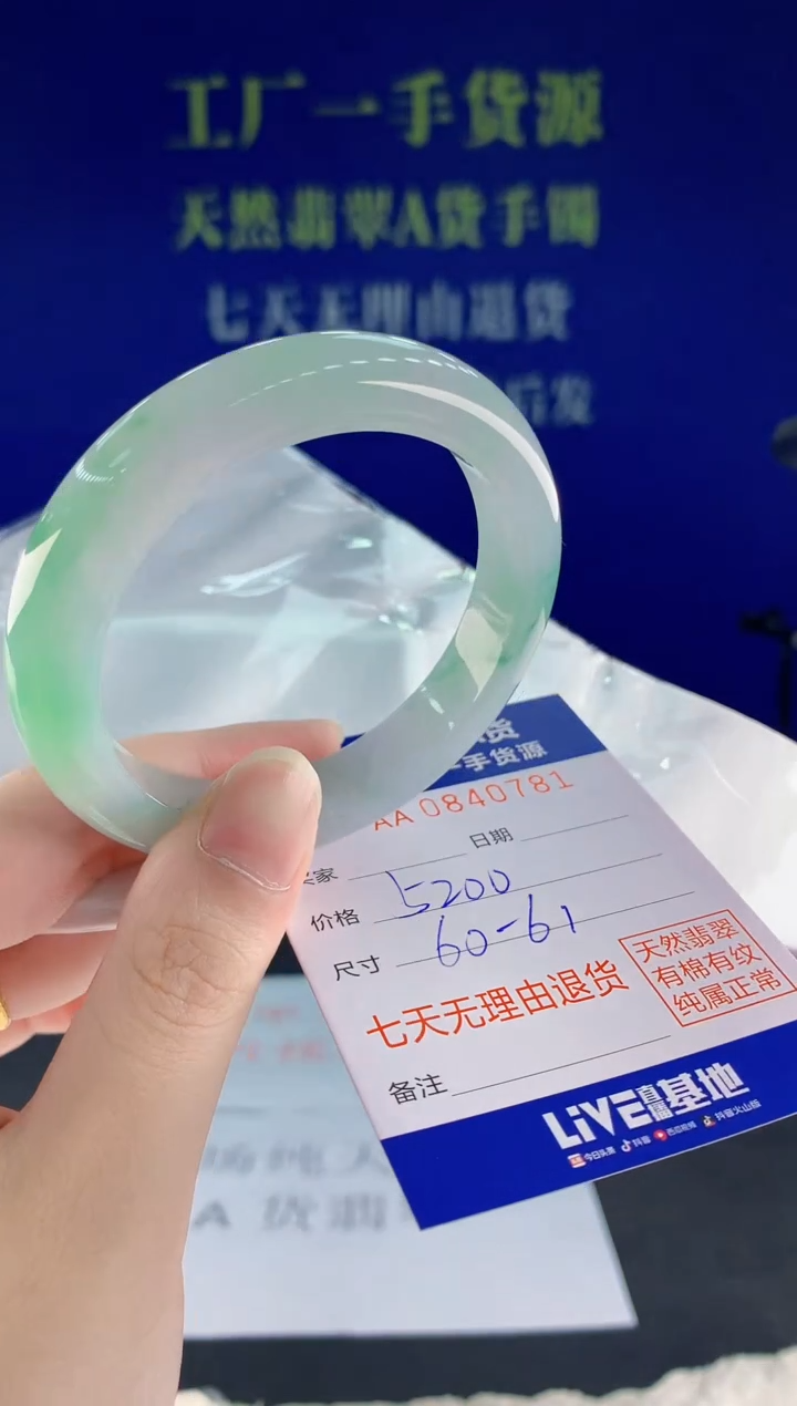 未镶嵌手镯翡翠81