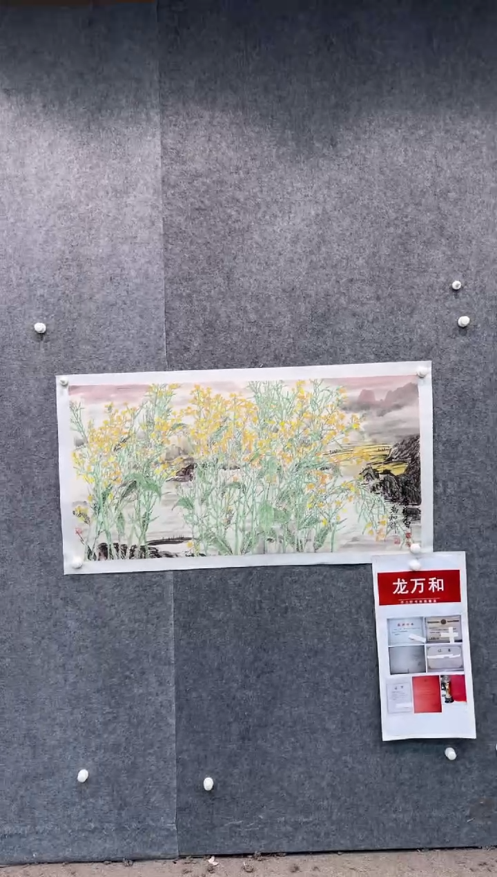 【闪购商品】国画pmw不二轩旗舰店国画LWH3