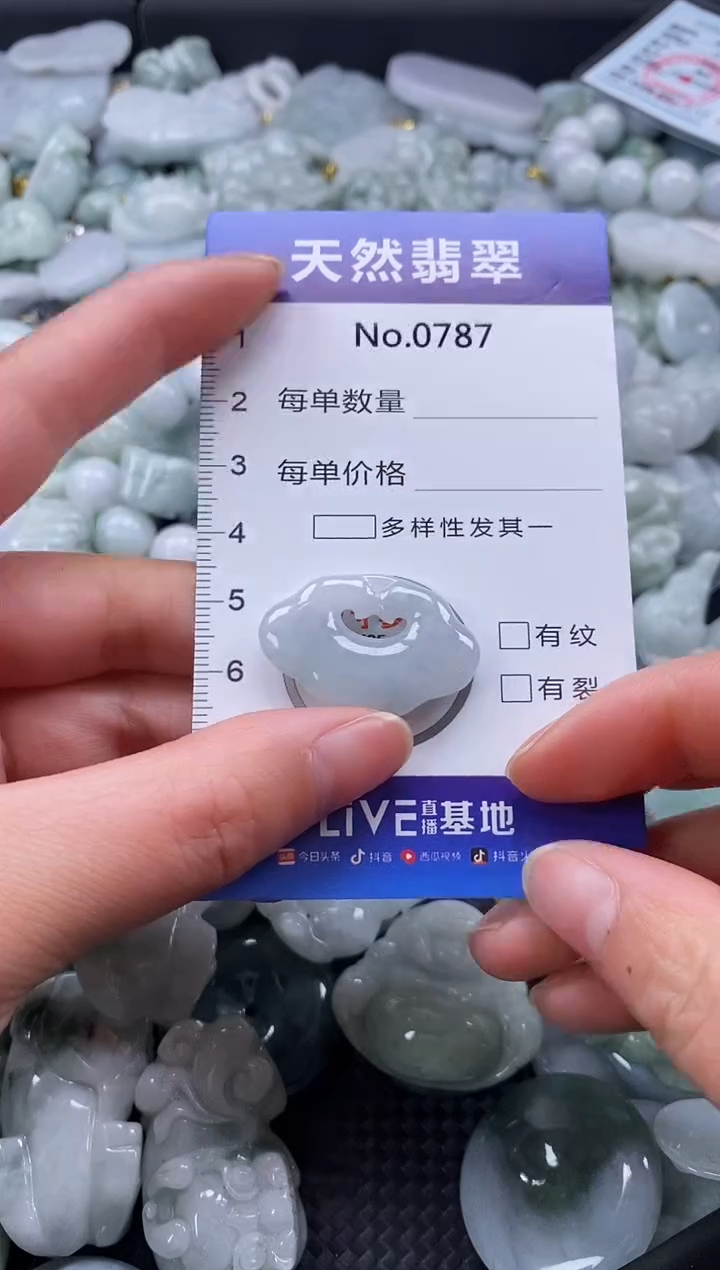 【闪购商品】翡翠颈饰未镶嵌缅甸A货翡翠0787