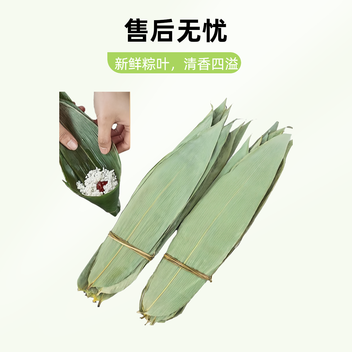 干棕叶 新叶 包粽子的叶子端午节家用商用粽叶批发