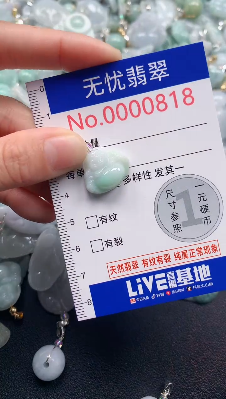 颈饰未镶嵌翡翠818