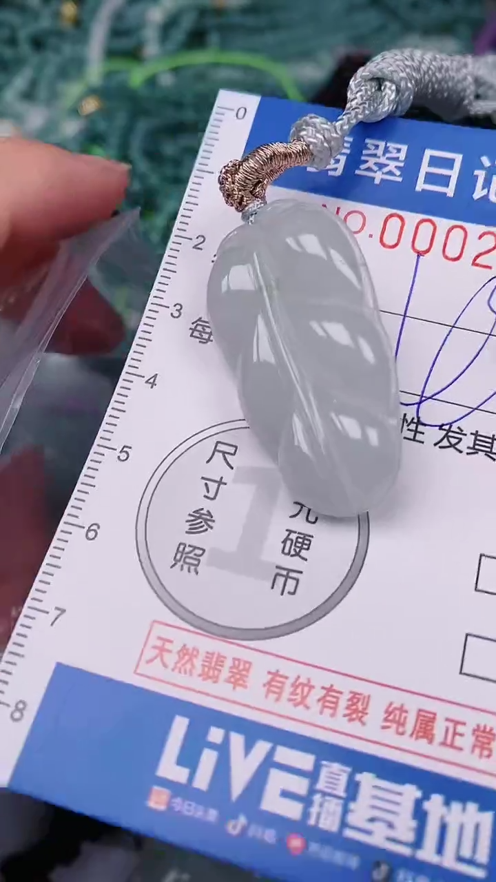 【闪购商品】翡翠颈饰未镶嵌00002874