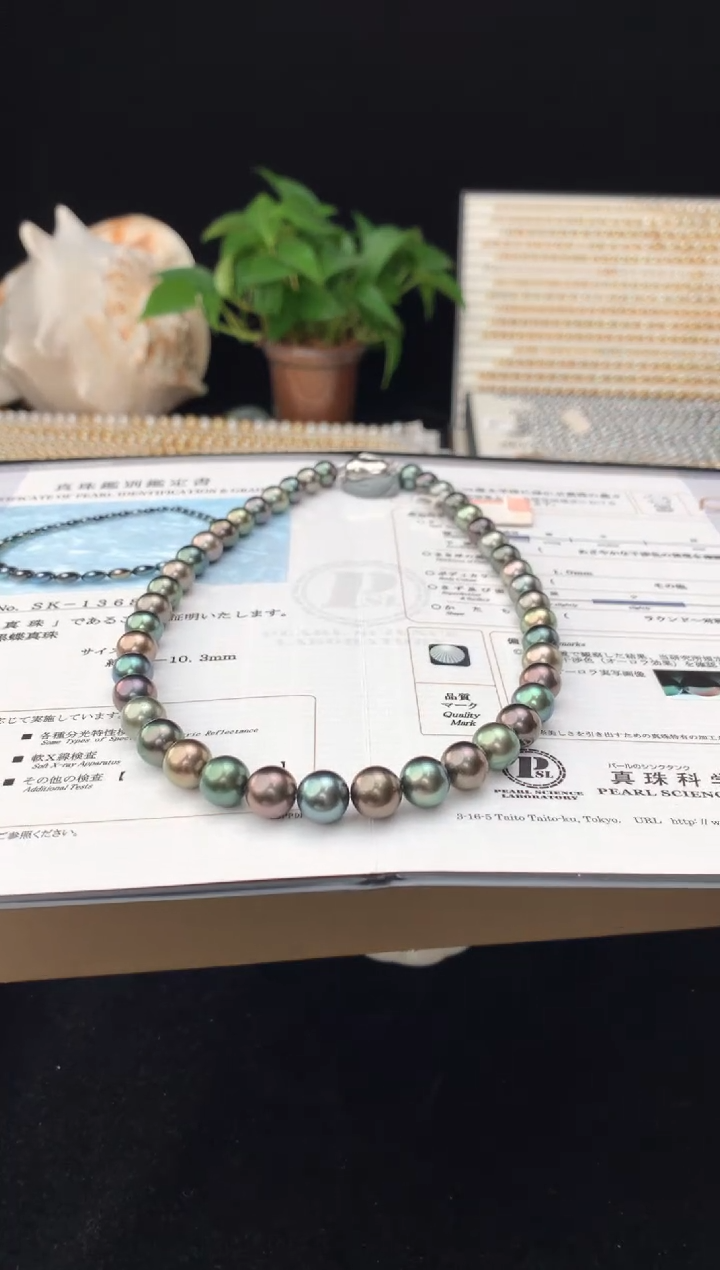 【闪购商品】海水珍珠颈饰银S925镶嵌海水大溪地珍珠项链