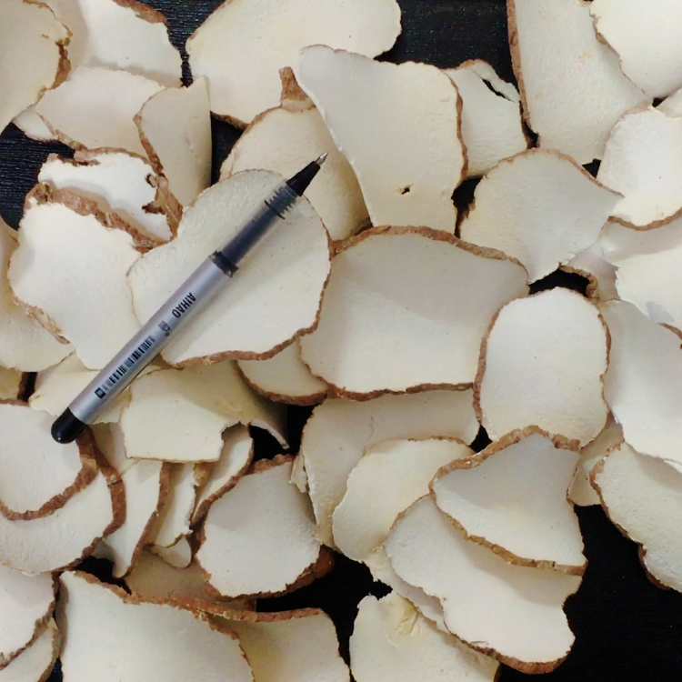  [珊姐推荐] 优选白皮虎乳 250g 