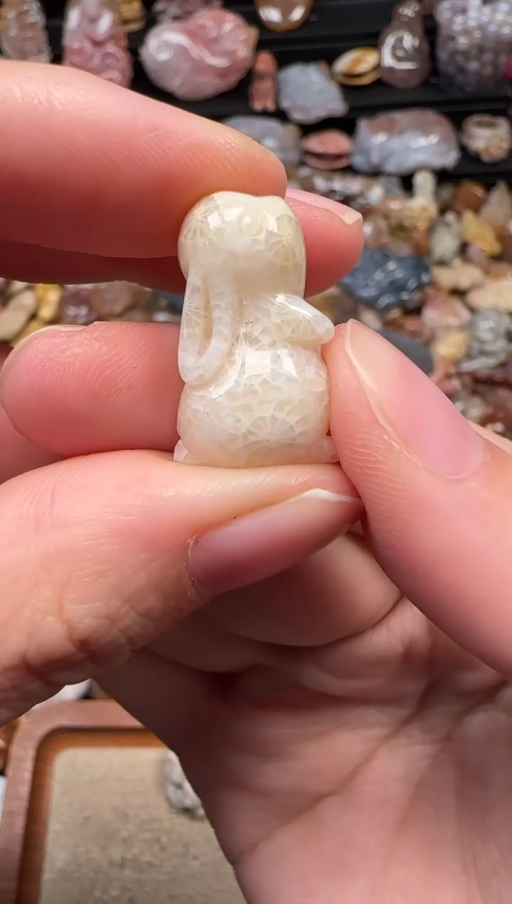 颈饰未镶嵌硅化珊瑚（珊瑚玉）913