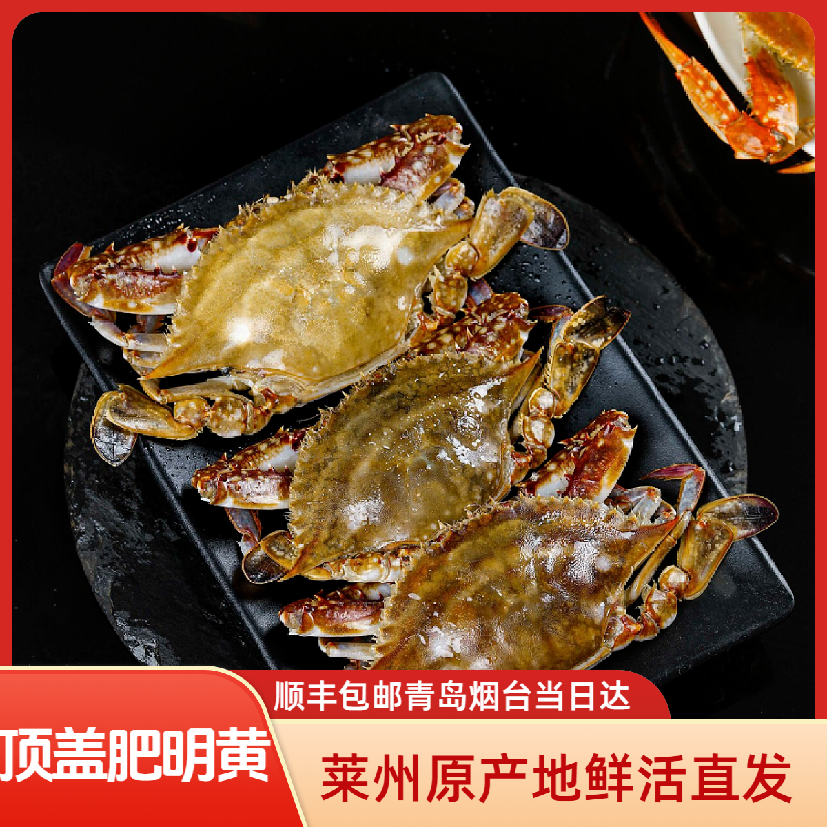 莱州顶盖肥带黄母蟹【保鲜不保活】3-5两/只2斤4-7只左右 梭子蟹