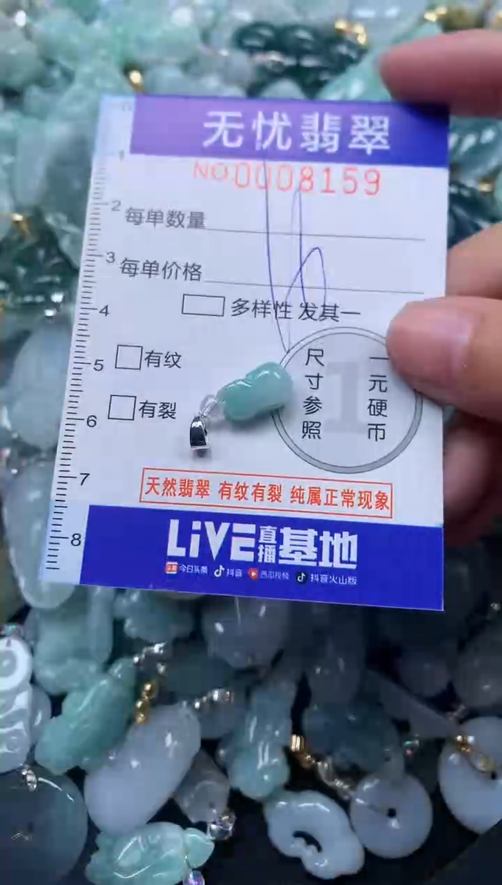 颈饰未镶嵌翡翠8159
