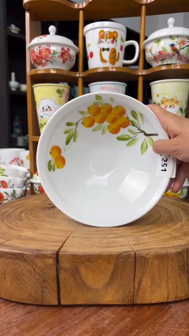 瓷片景德镇手绘釉中彩（食品级）大斗笠碗
