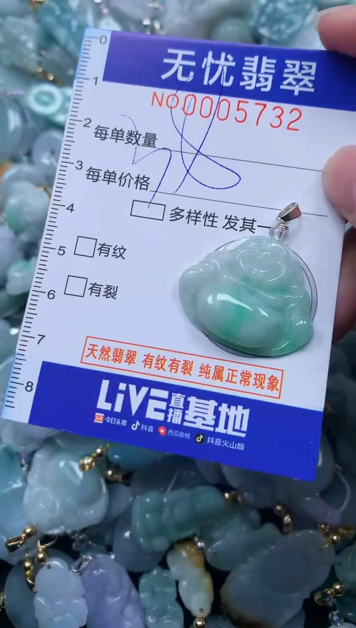 颈饰未镶嵌翡翠5732