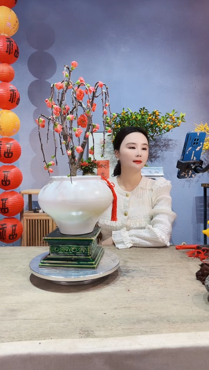 【闪购商品】盆景海棠 长寿冠