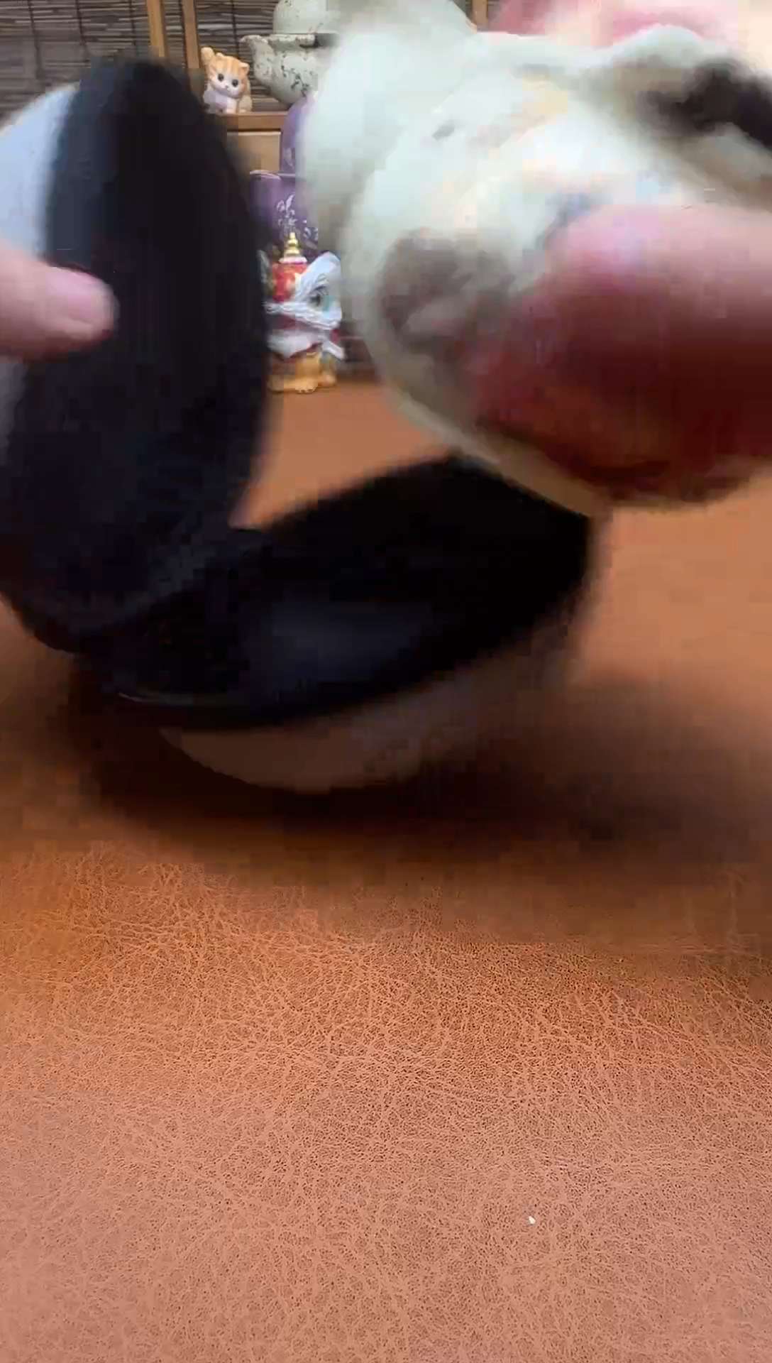 新店来开播，茶具放福利