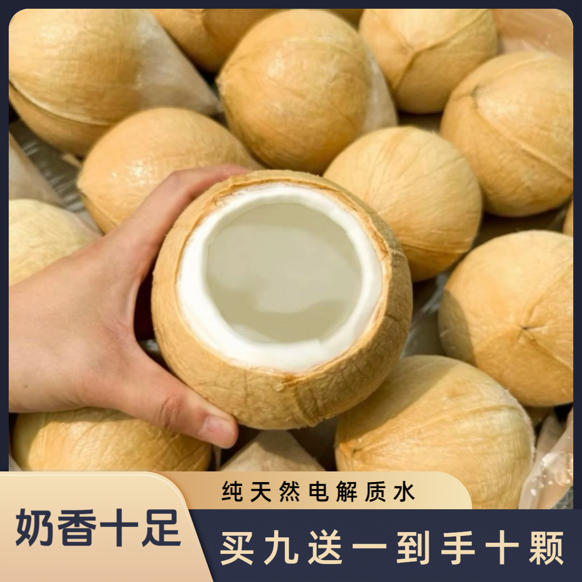 泰国进口丹嫩沙多椰皇椰子6/9颗新鲜单果400-700g顺丰 坏果包赔