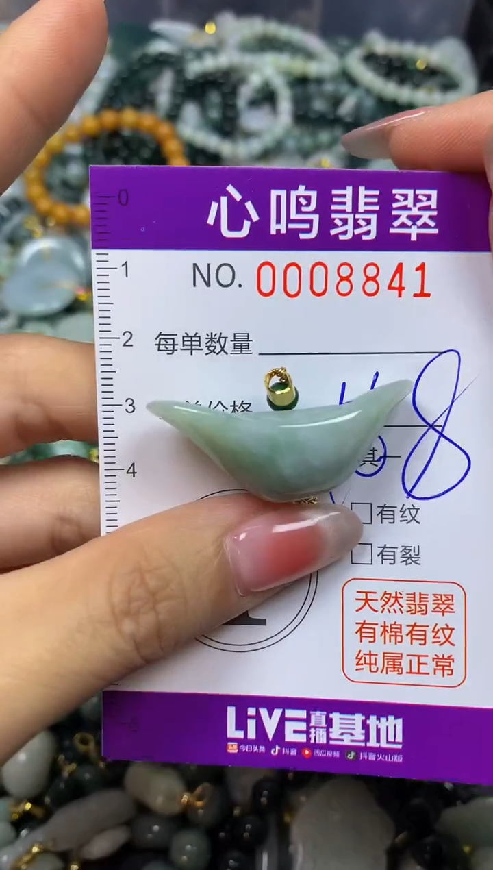 【闪购商品】翡翠颈饰未镶嵌闪购008841