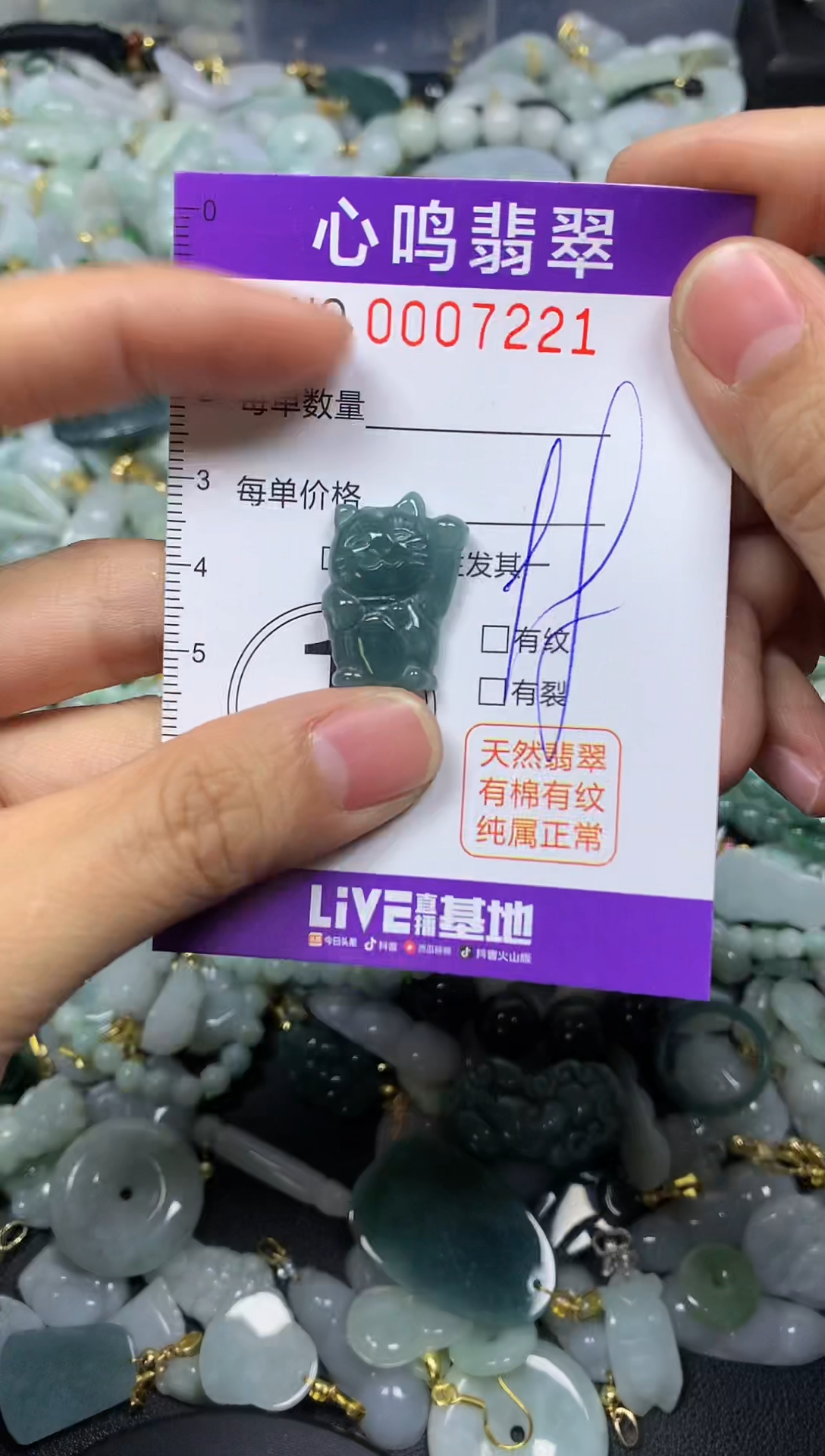 【闪购商品】翡翠颈饰未镶嵌闪购007221