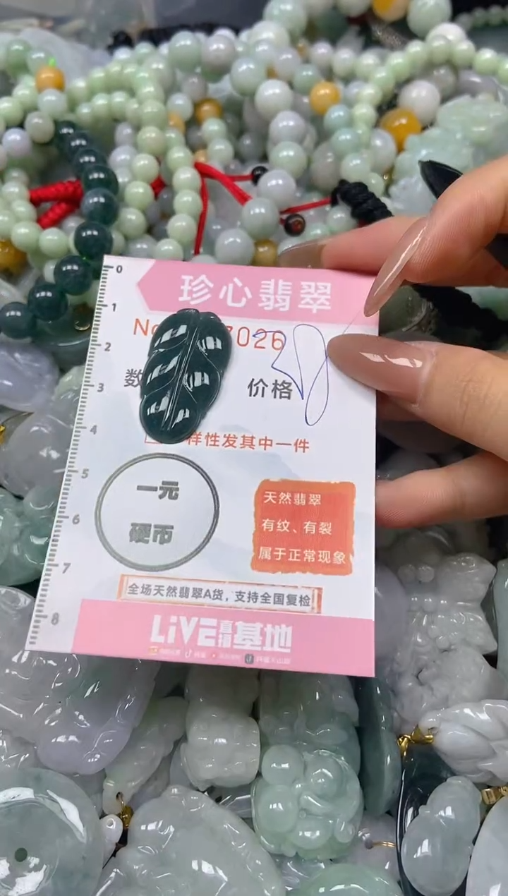 【闪购商品】翡翠颈饰未镶嵌闪购0177026