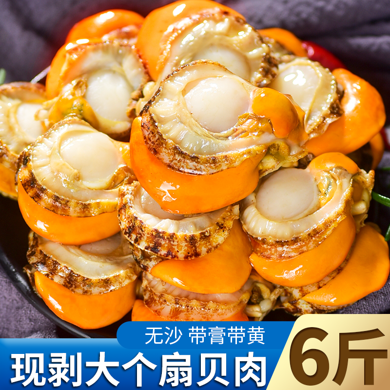 6斤大号扇贝肉带黄带膏公母混发新鲜手剥现剥冷冻无沙海捕