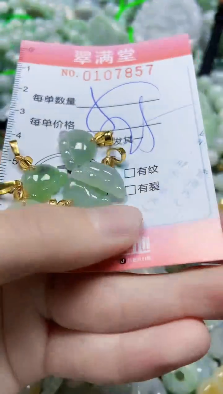 【闪购商品】翡翠颈饰未镶嵌闪购0107857