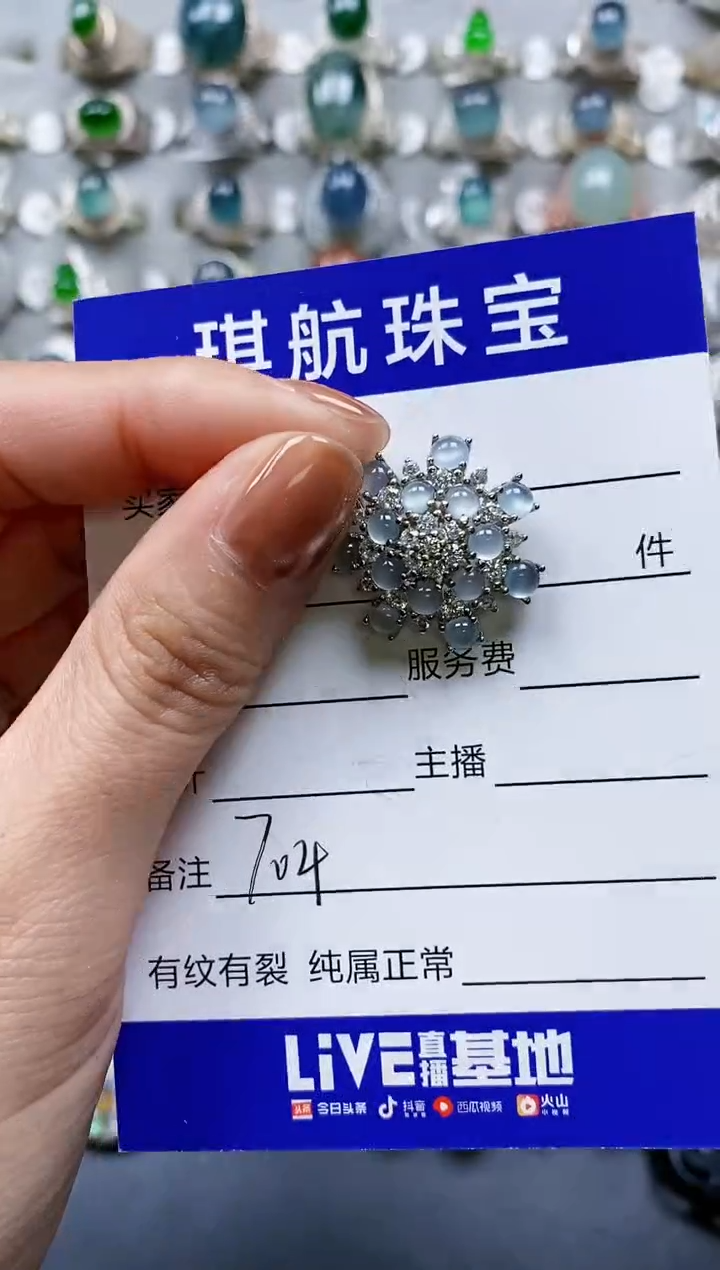 【闪购商品】翡翠颈饰银S925镶嵌0704