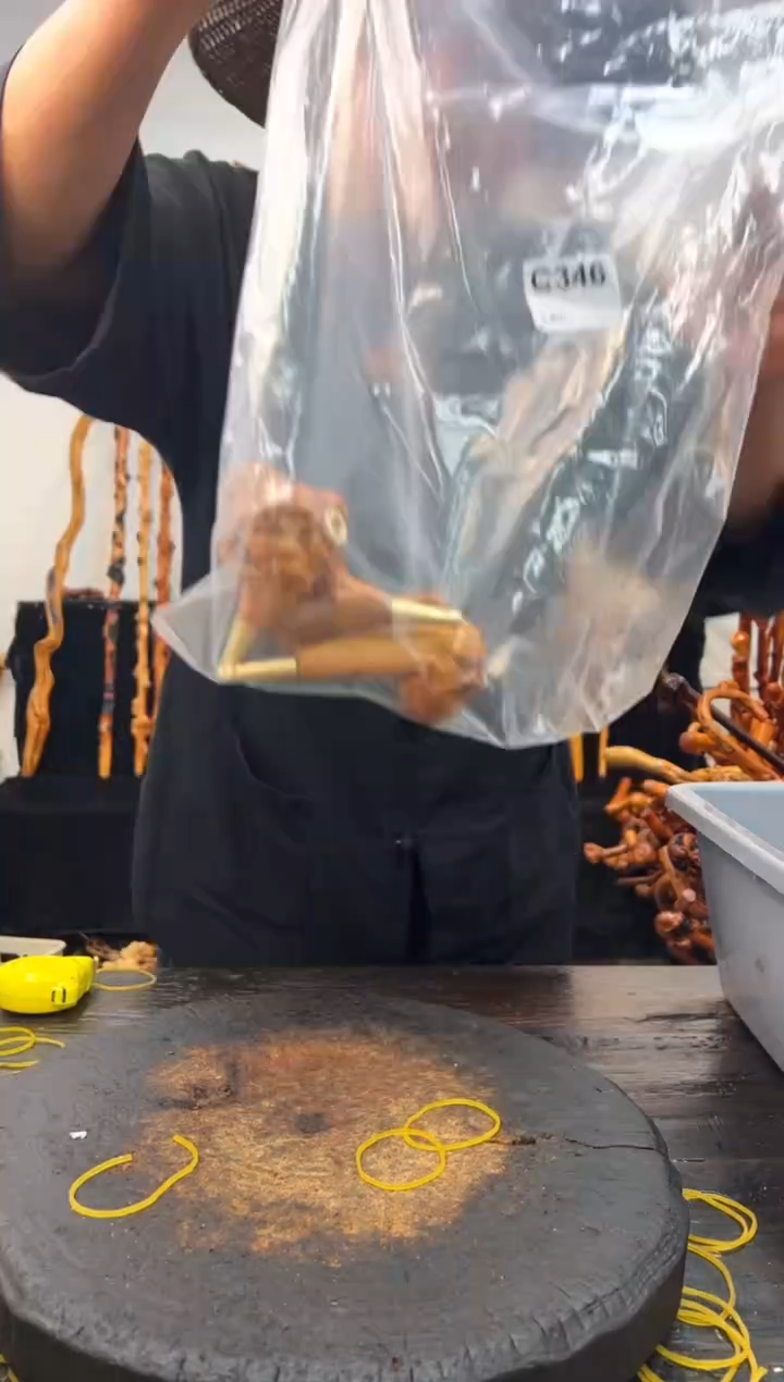 黑果木其他黑果木566