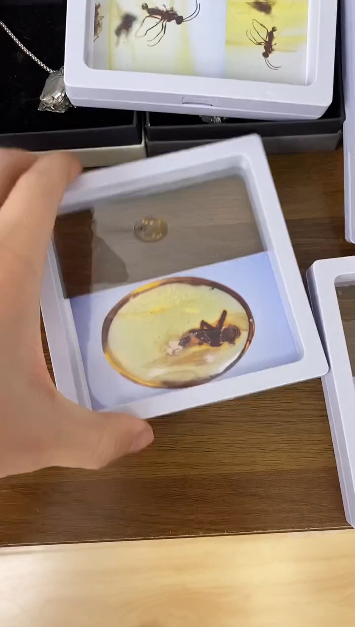 美摆件创意礼物家居配饰新年礼物个人收藏