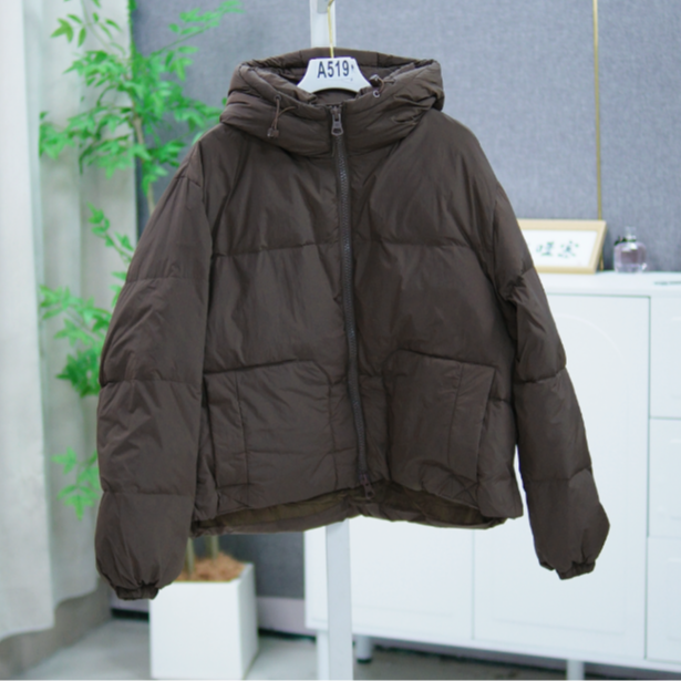519 AA51连帽羽绒服女冬季新款加厚保暖小个子休闲韩版外套短款