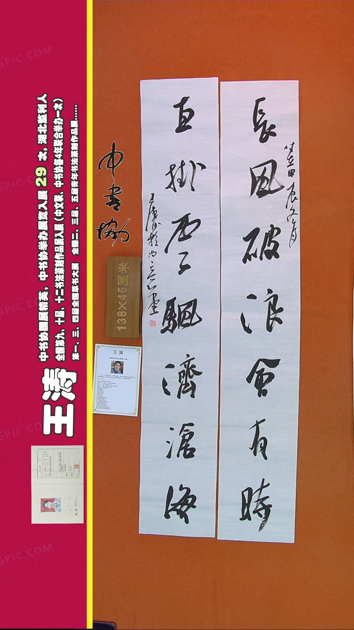 【闪购商品】书法304A王涛书法作品