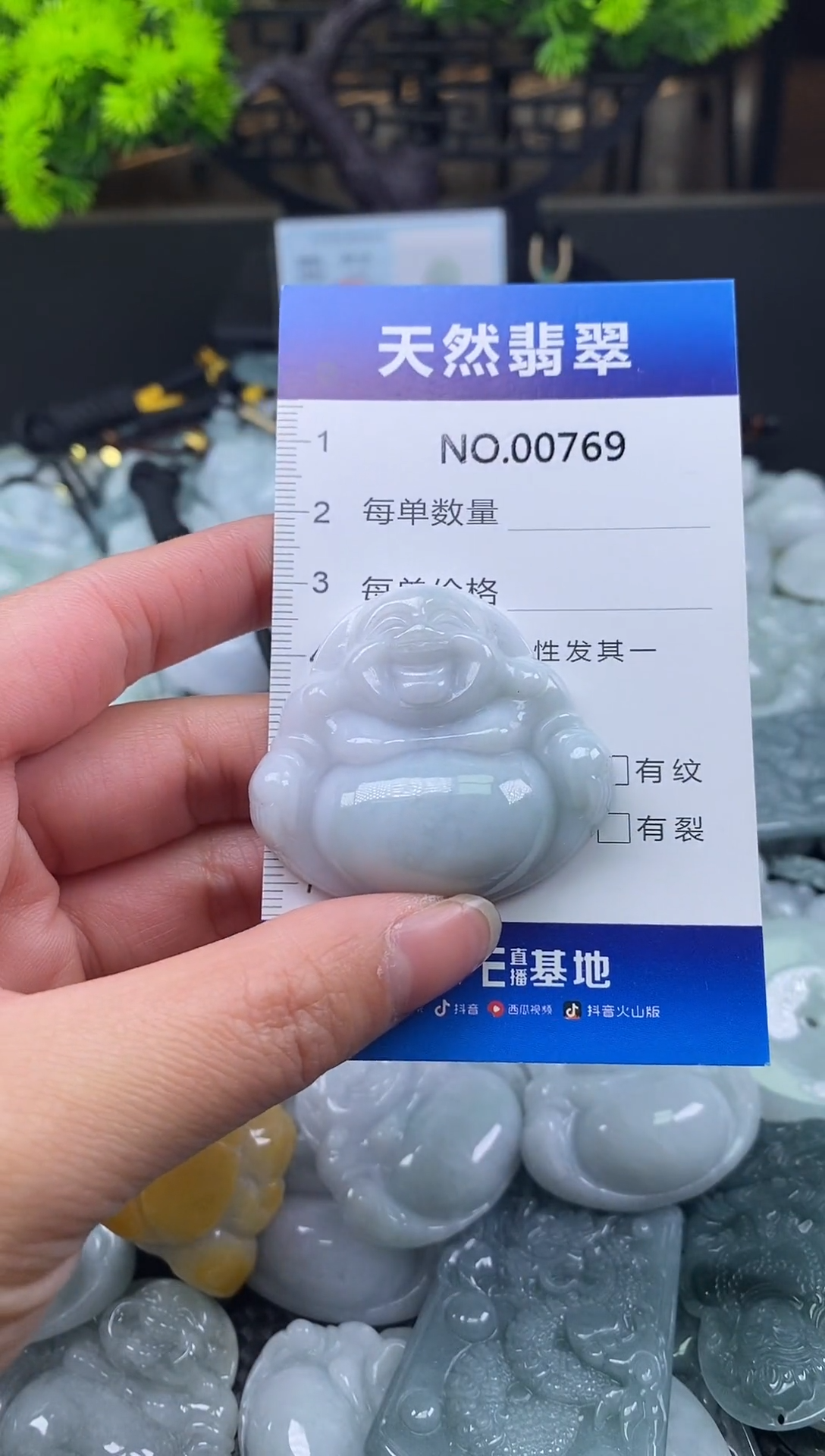 颈饰未镶嵌翡翠天然缅甸翡翠769