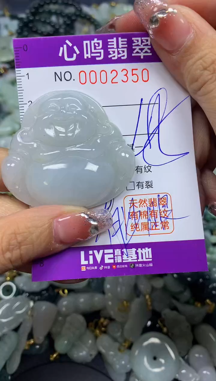 【闪购商品】翡翠颈饰未镶嵌闪购002350
