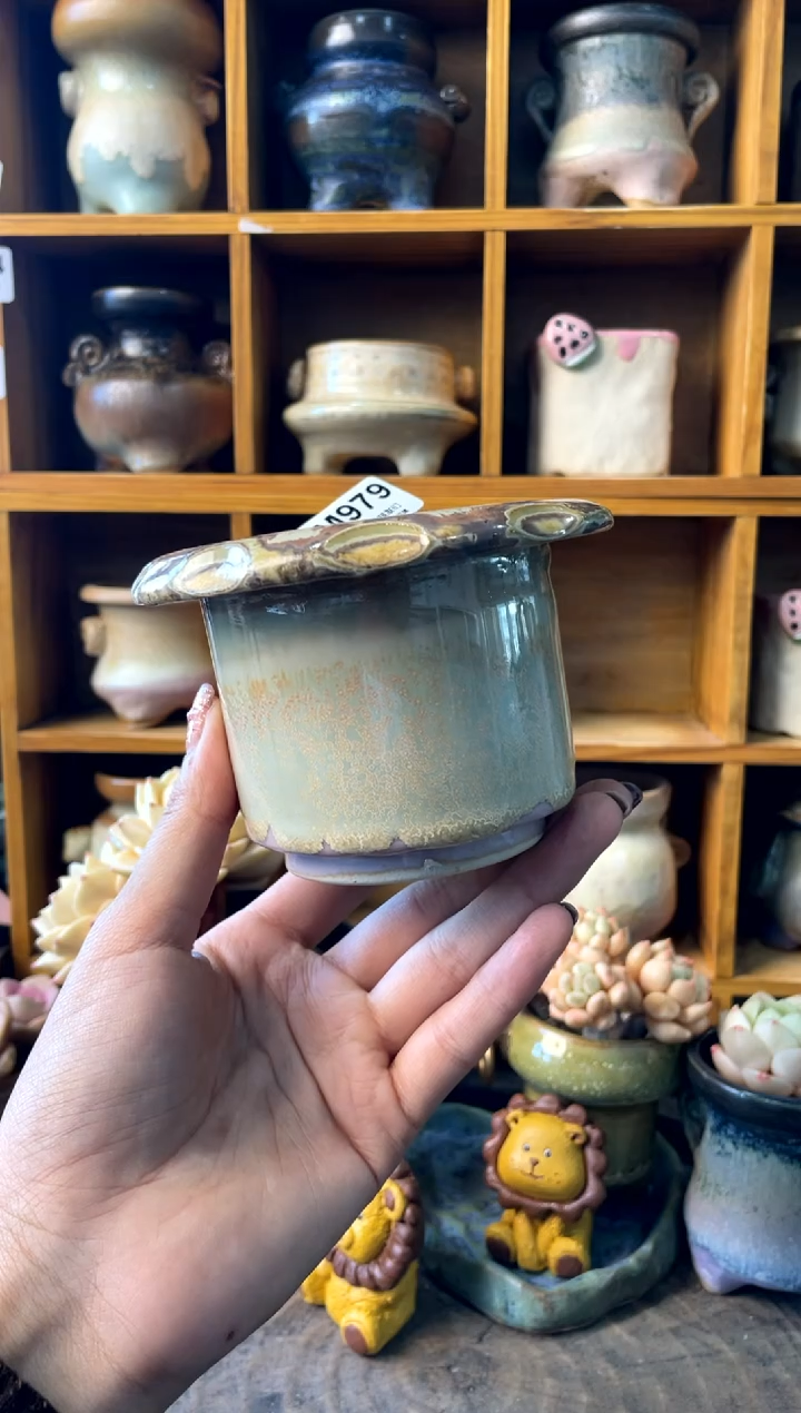 蟹****天979【多肉花盆多肉盆】