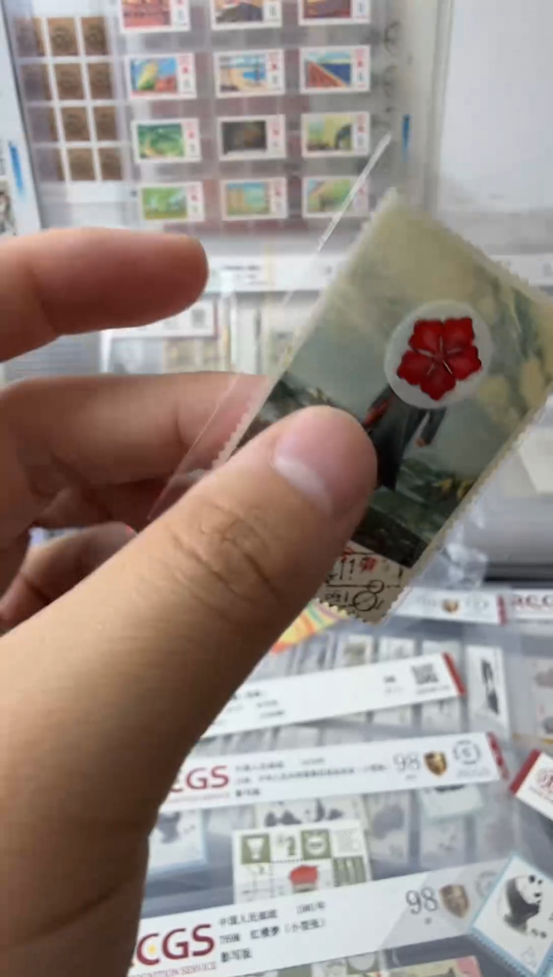 文12  信销      
