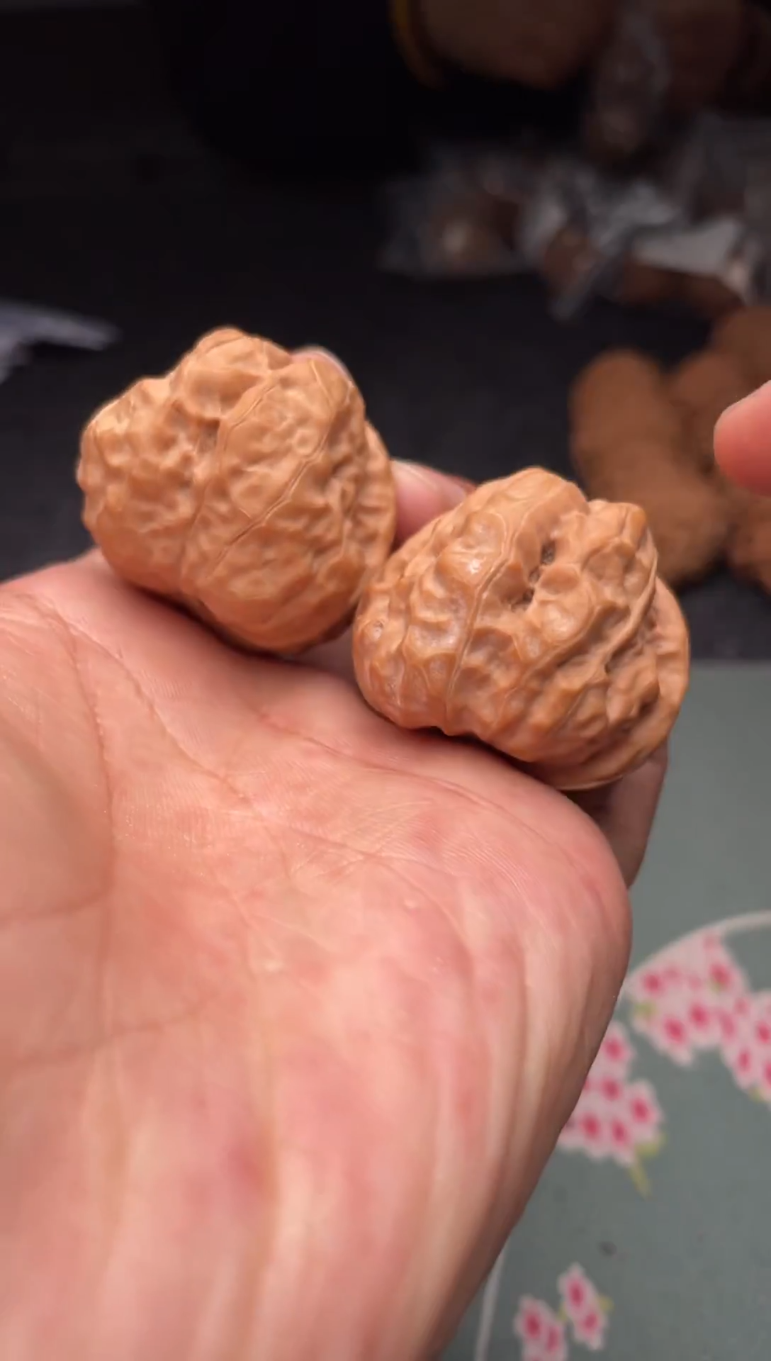 把件文玩核桃a187  蛤蟆头    36尺