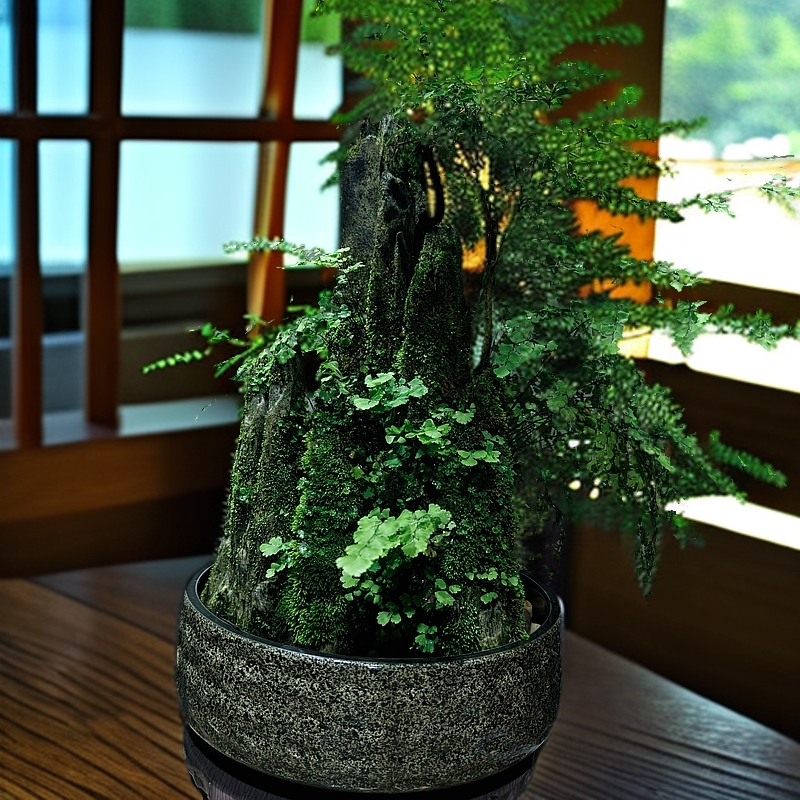 吴定石假山摆件附石寿庭木铁线蕨石高44长26厚17总高50不含盆