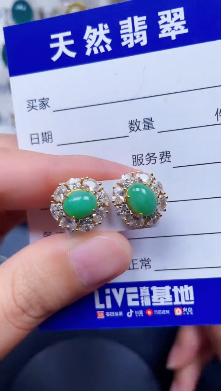 银S925镶嵌翡翠耳饰300