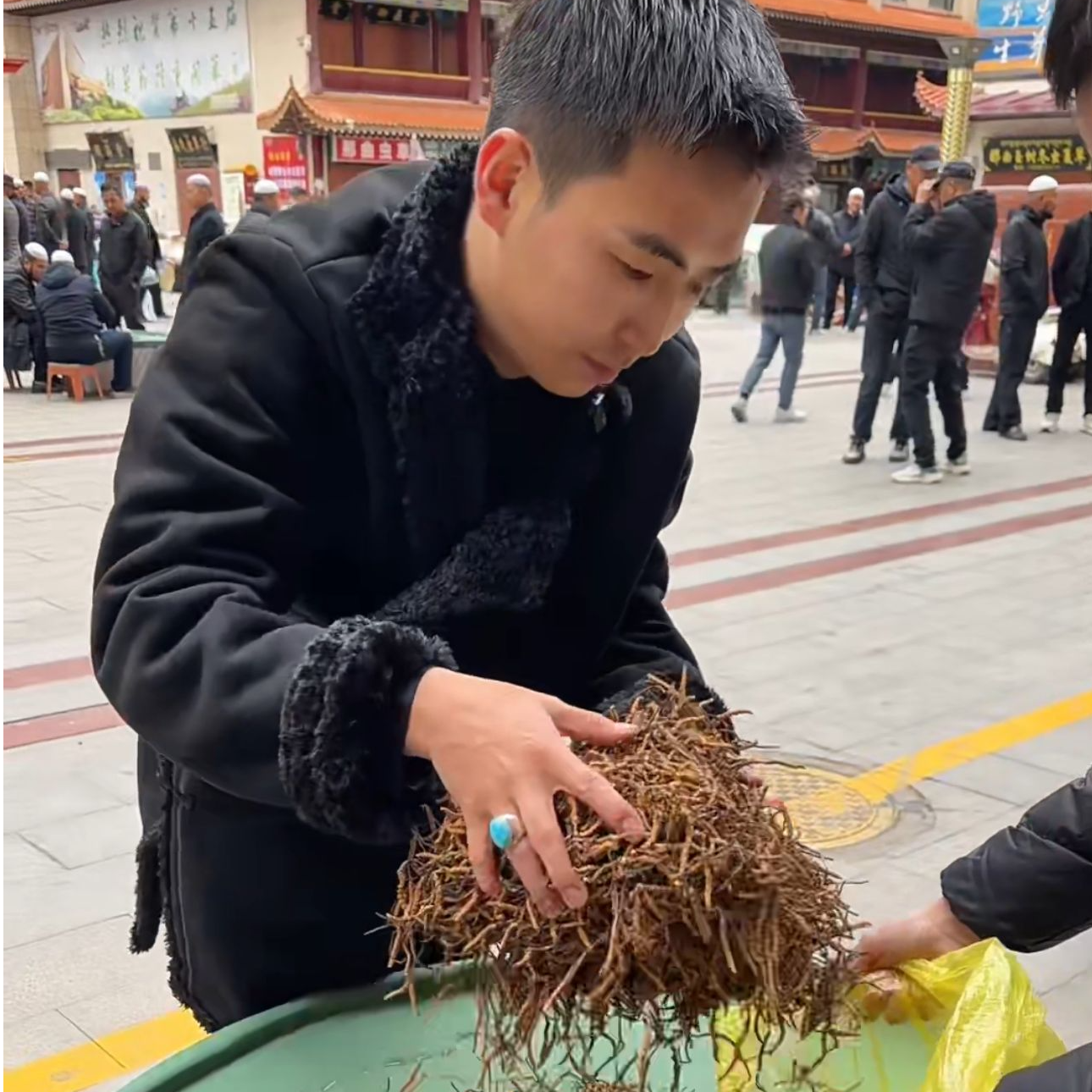【冬虫夏草】精品小黄芽2500 自然晒干 小黄芽虫草滋补养生