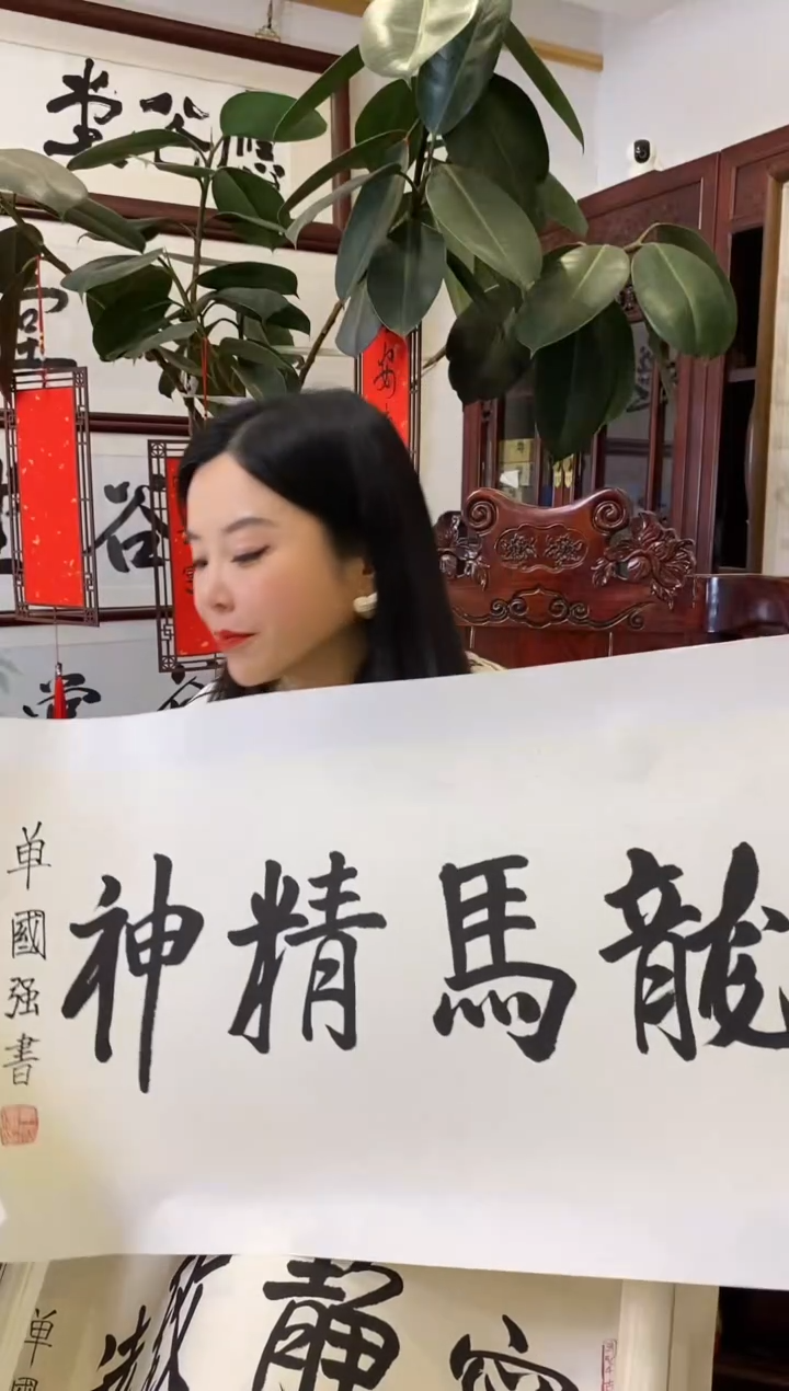 【闪购商品】书法SGQ 0001 龙马精神2