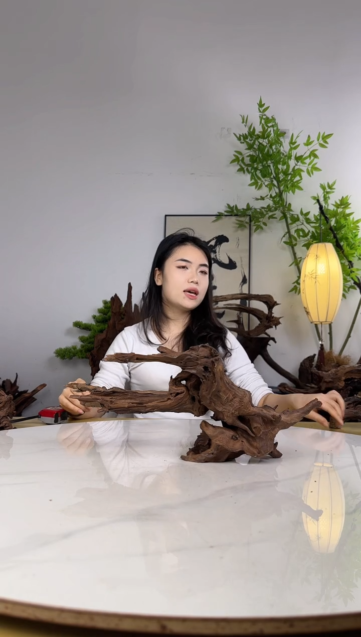 ▞****▛拍沉木定向链接编号10